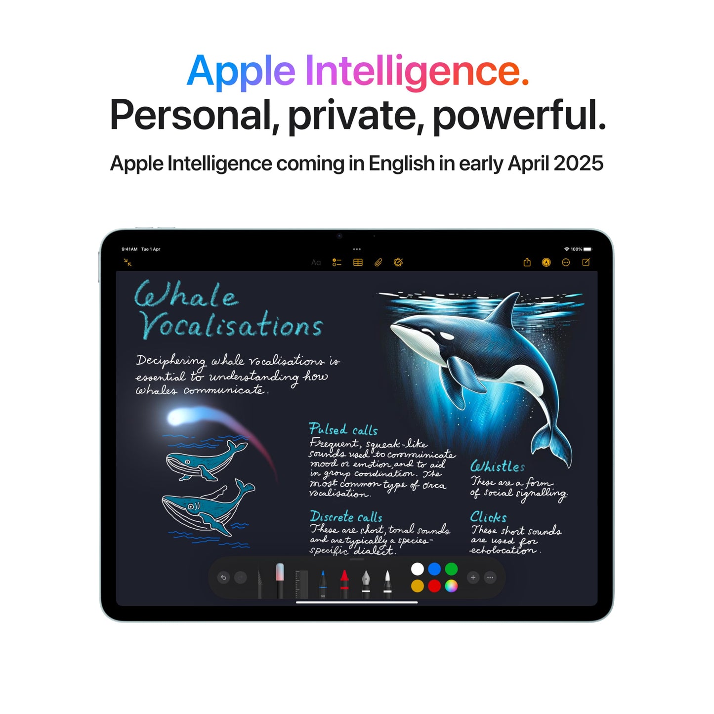 Apple iPad Air 13″ M3 – 128GB, Liquid Retina, Wi-Fi 6E